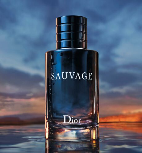 Dior Sauvage Eau de Toilette – 100ml